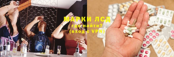 крисы Новозыбков