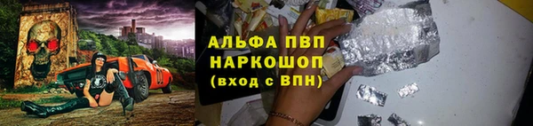 крисы Новозыбков