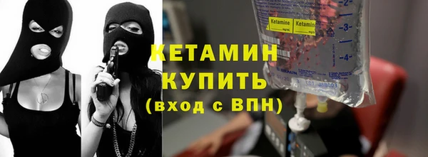 крисы Новозыбков