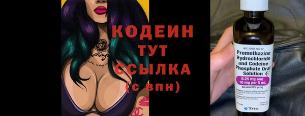 крисы Новозыбков
