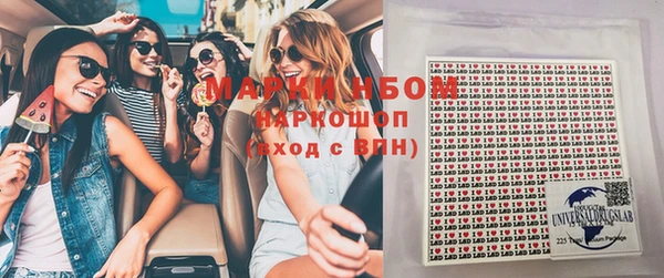 крисы Новозыбков