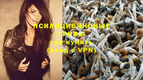 крисы Новозыбков
