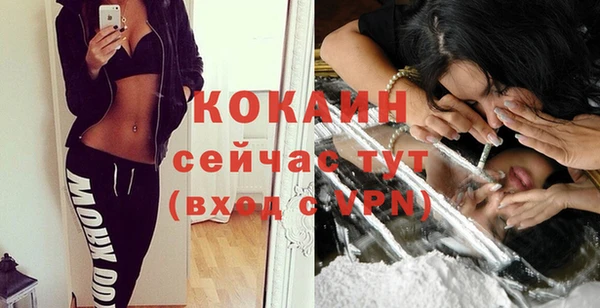 крисы Новозыбков