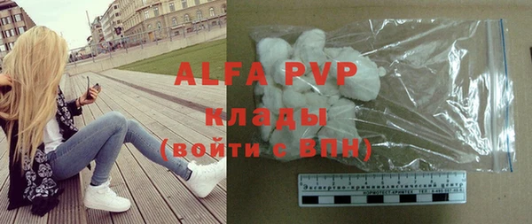 крисы Новозыбков