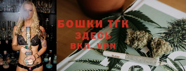 крисы Новозыбков