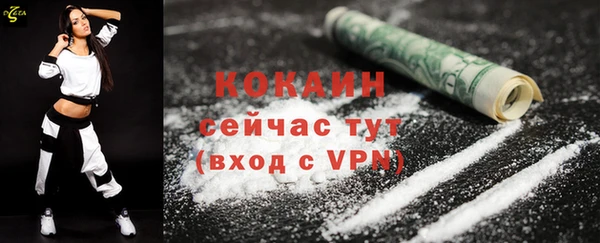 крисы Новозыбков