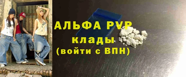 крисы Новозыбков